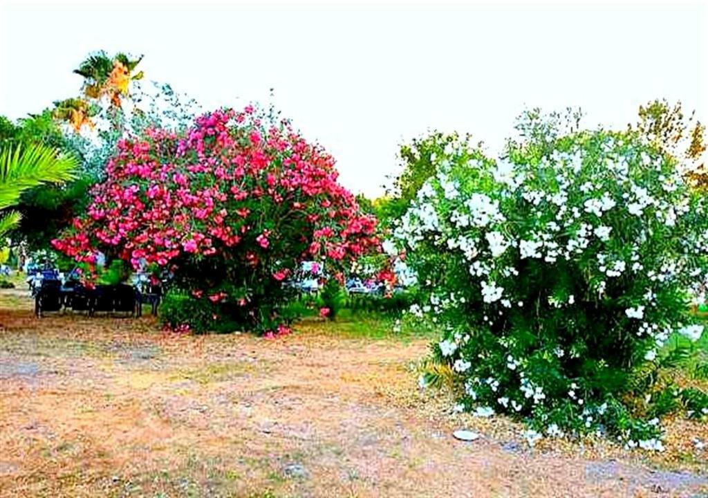 Aslihan Motel Anamur Exterior foto
