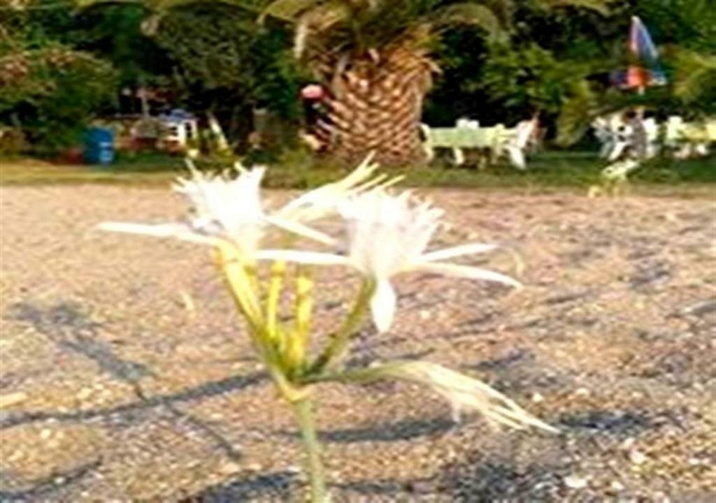 Aslihan Motel Anamur Exterior foto